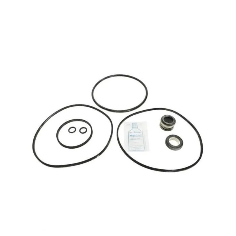 Aladdin Go-Kit 15 Pump Gasket & Seal Kit Jacuzzi R & RC