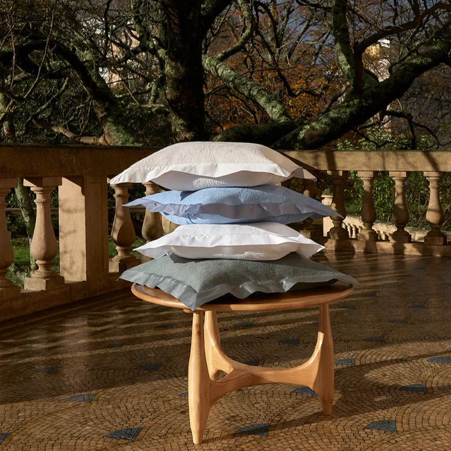 aura decorative pillow
