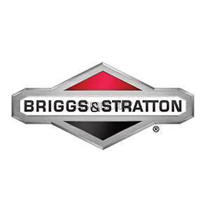 Briggs & Stratton Genuine Pump Saver 6039