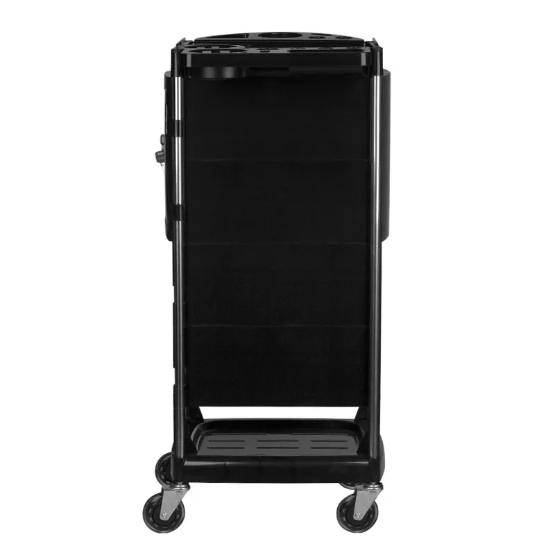 Gabbiano hairdressing assistant fx10c black