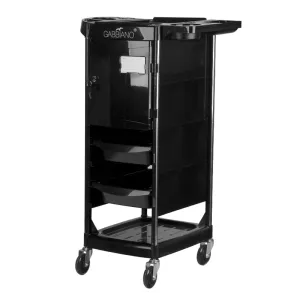 Gabbiano hairdressing assistant fx10c black