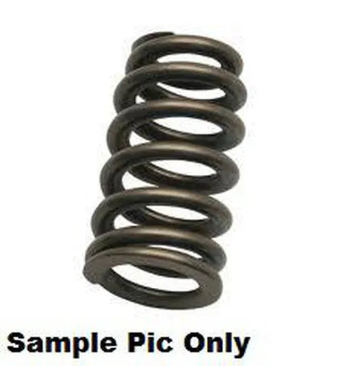 INLET VALVE SPRING PSYCHIC HEAVYDUTY MADE FROM ALLOY HEAT-TREATED DURABLE HONDA CRF450R 09-20