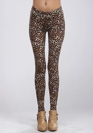 Leopard Print Leggings