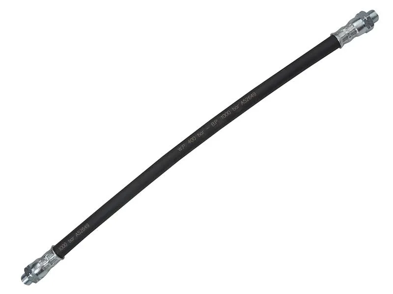 Lumatic Rf12Vs Rubber Flexible Tube 12In 1/8 In Bsp