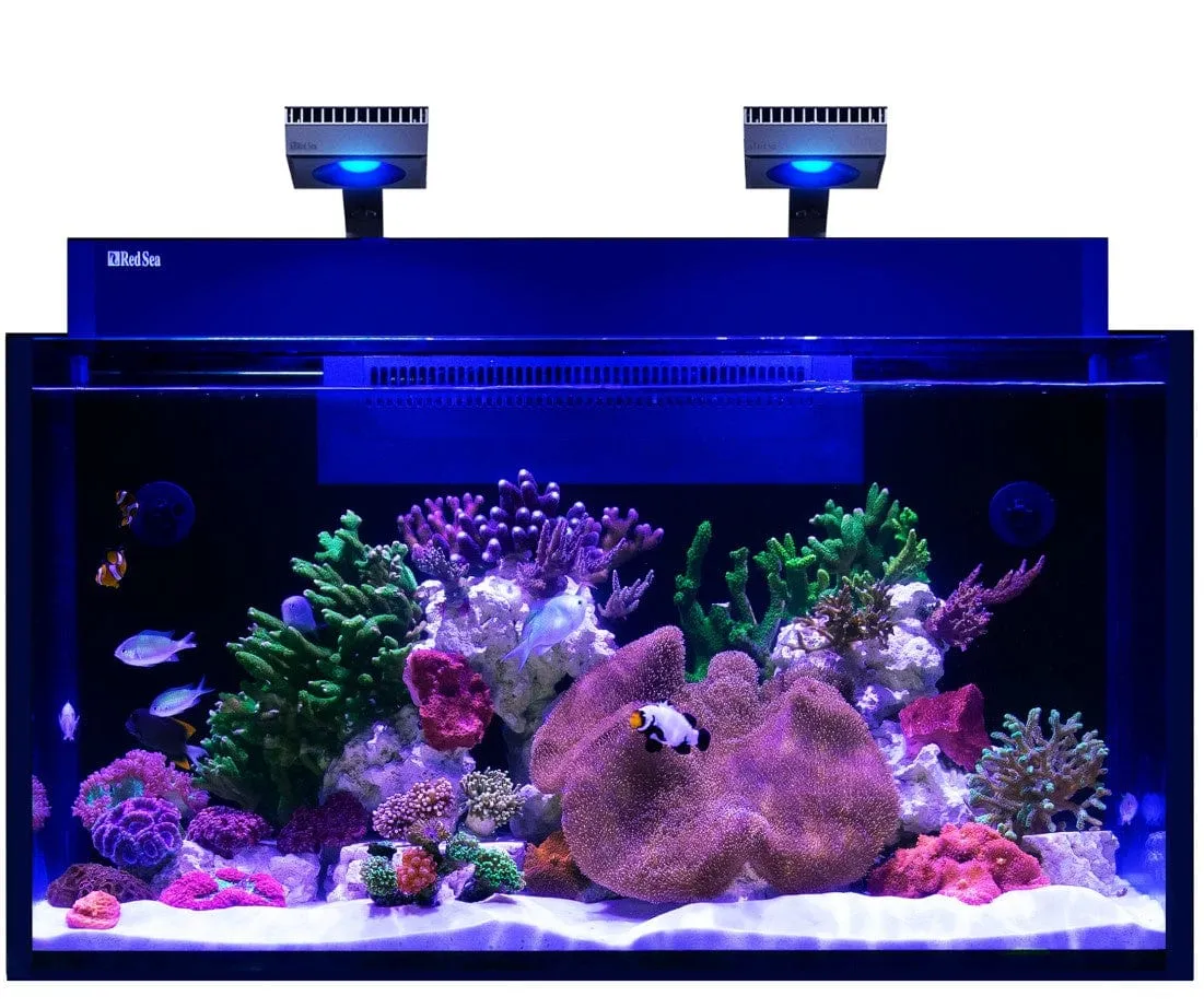 Red Sea Max Nano G2 XXL
