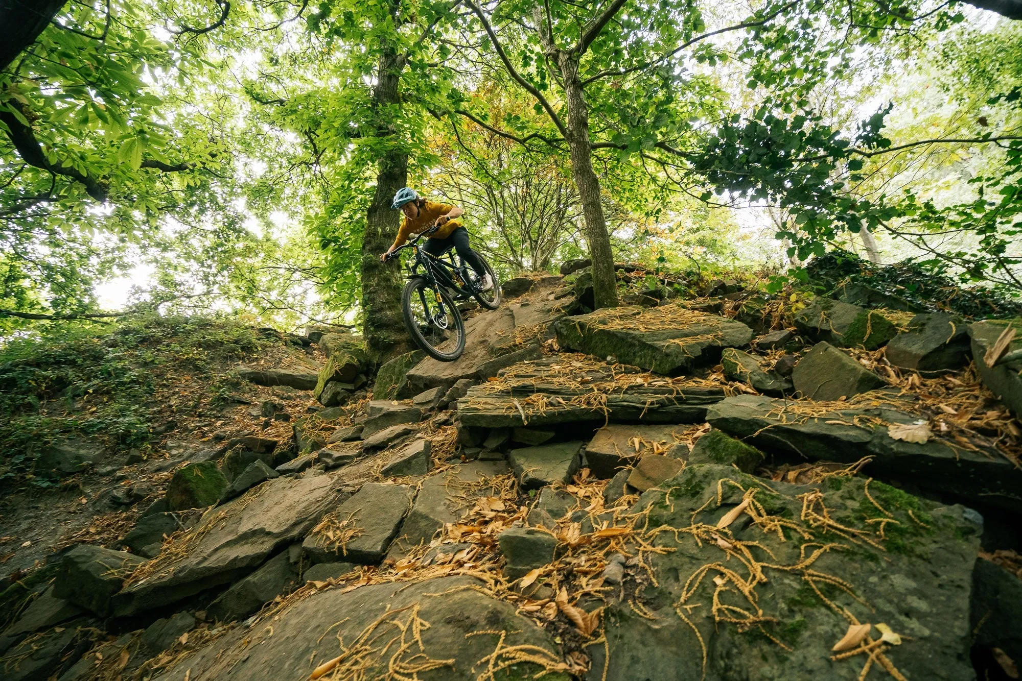 RE:NEW HUNT Proven Carbon Race Enduro 29 Wheelset