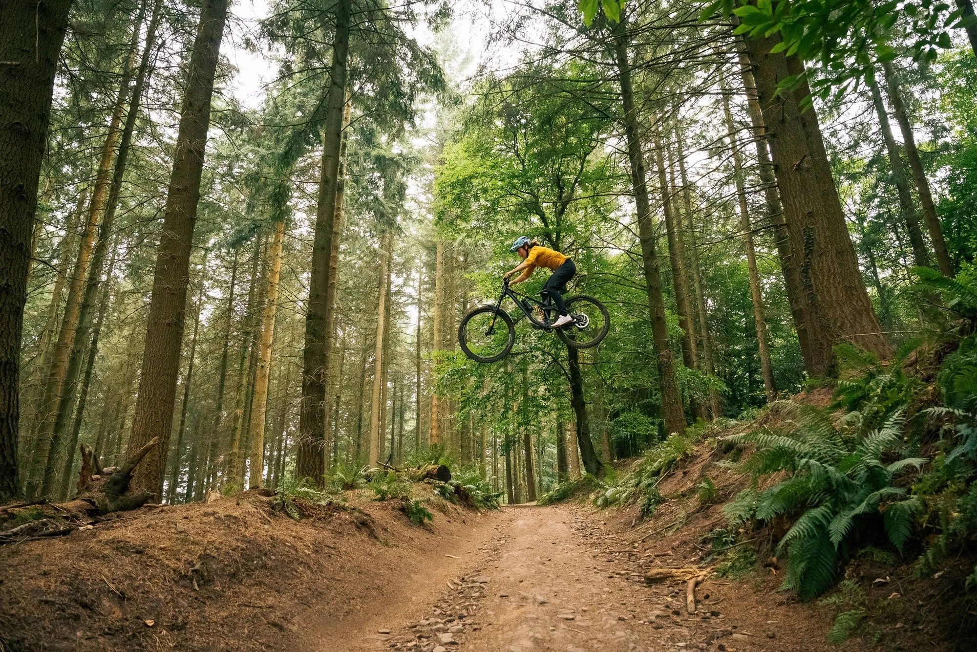 RE:NEW HUNT Proven Carbon Race Enduro 29 Wheelset