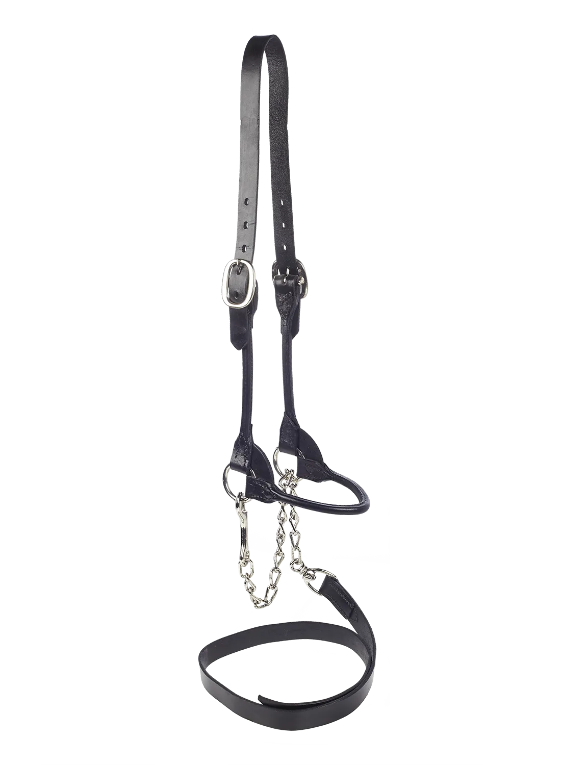 Show halter Black regular