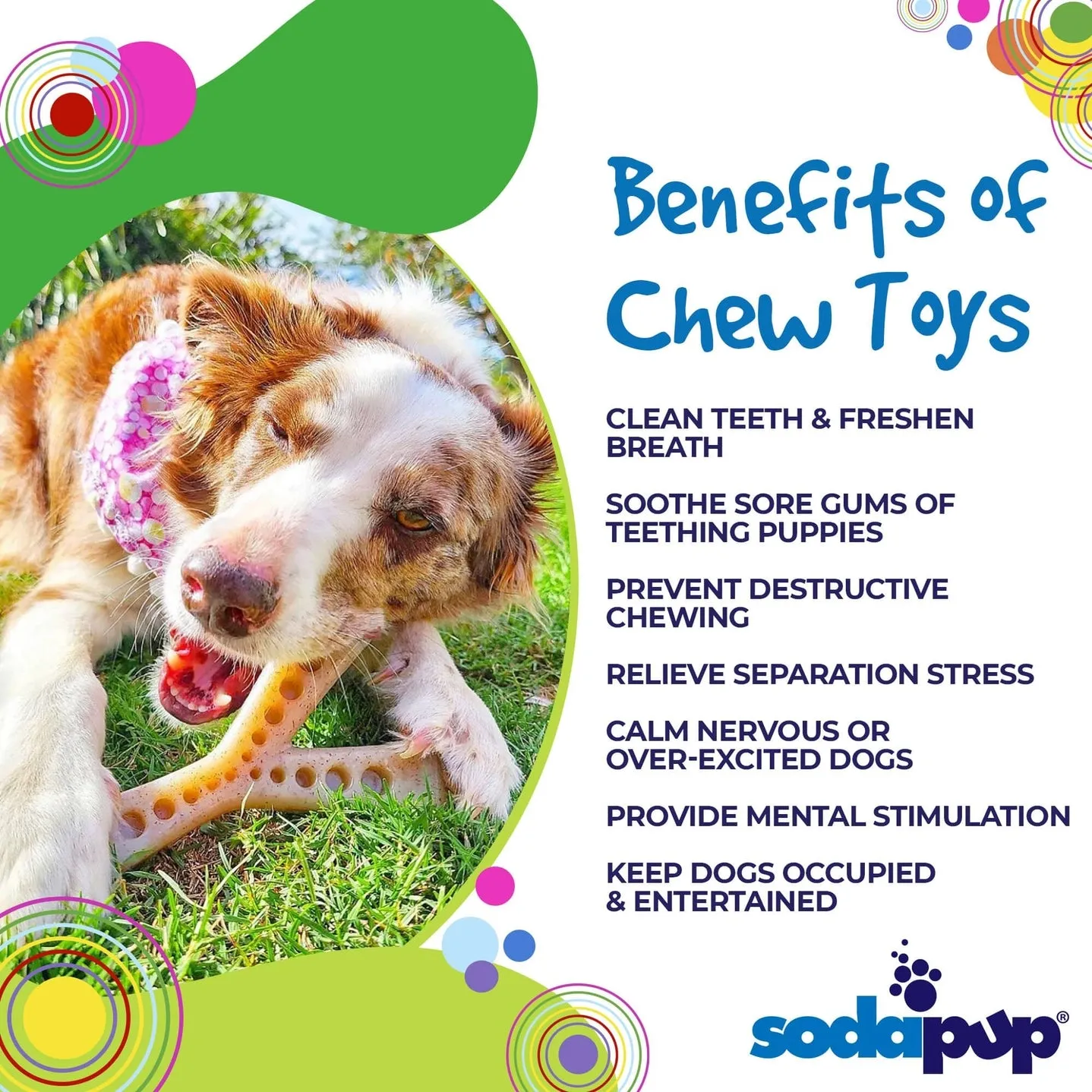 Sodapup MOD Wishbone Ultra Durable Nylon Dog Chew Toy for Aggressive Chewers