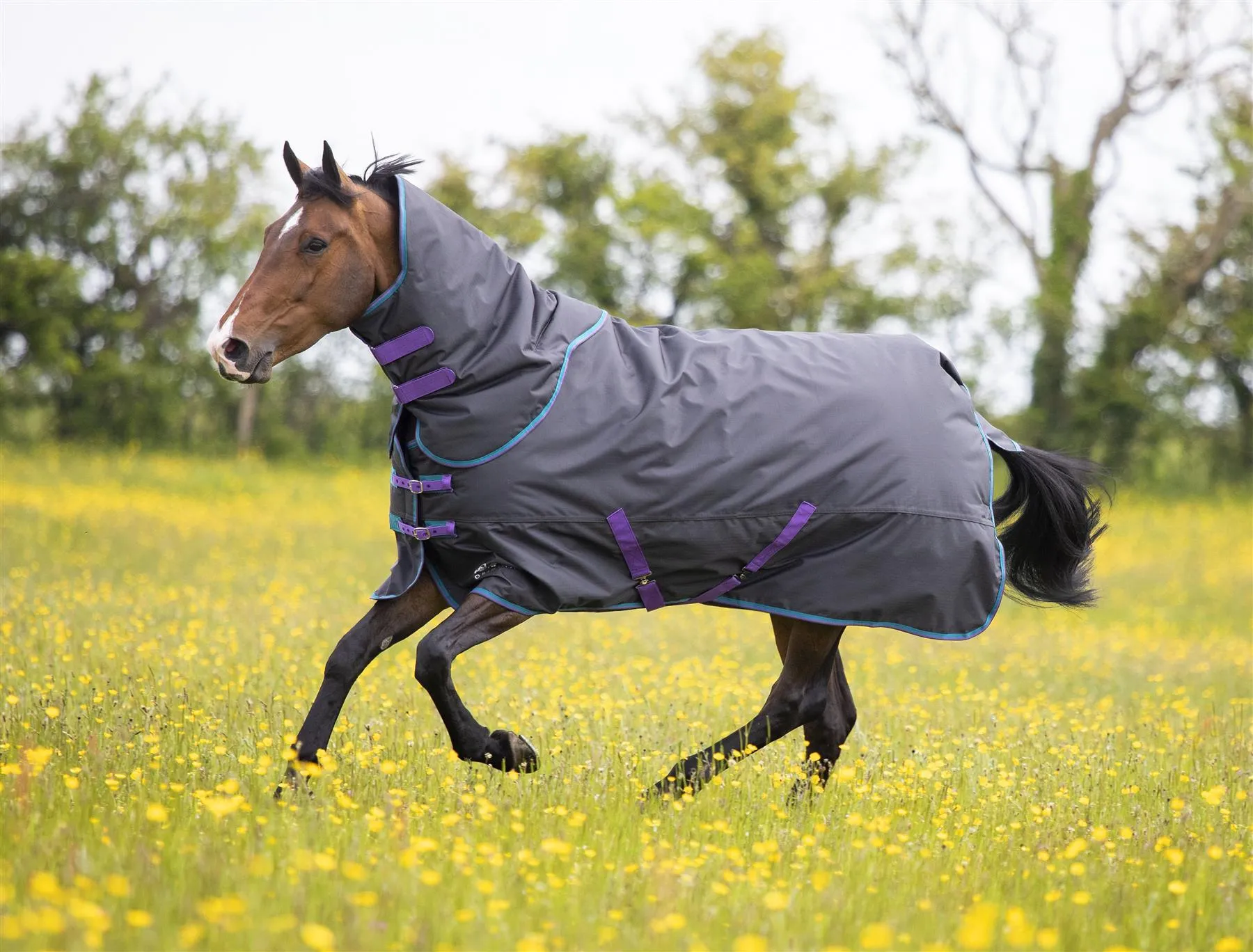 Tempest Original 300 Turnout Rug & Neck
