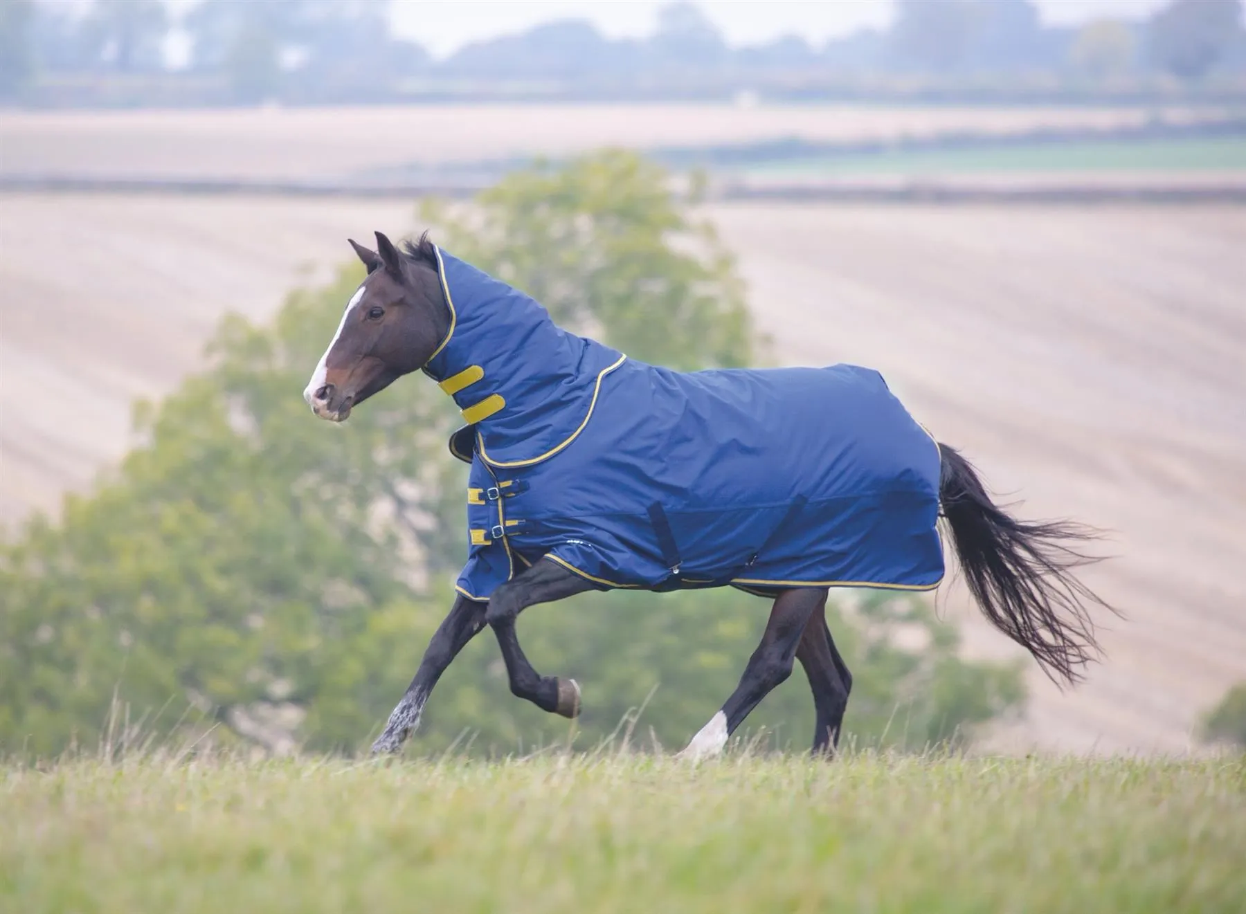 Tempest Original 300 Turnout Rug & Neck
