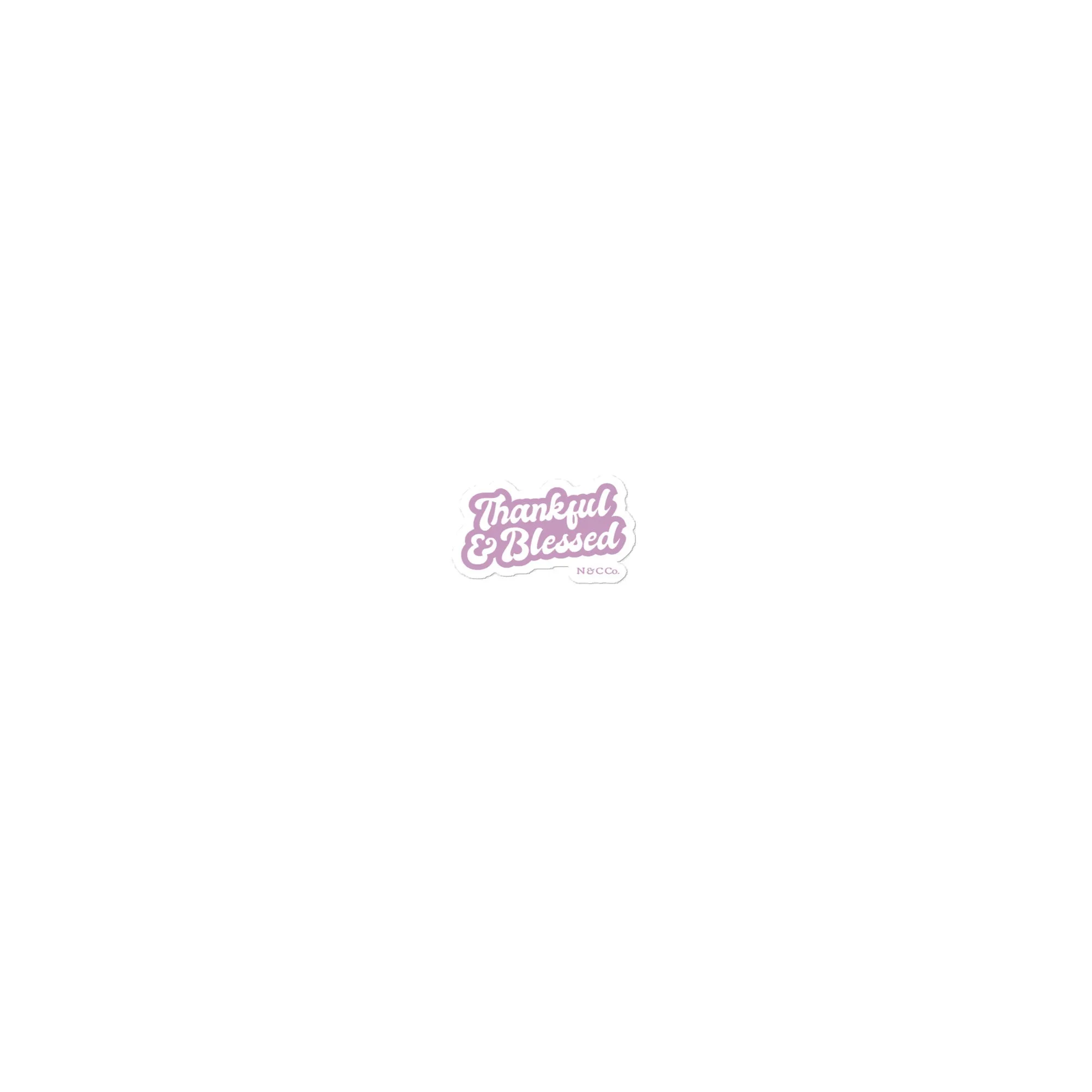 Thankful & BLessed Bubble-free stickers