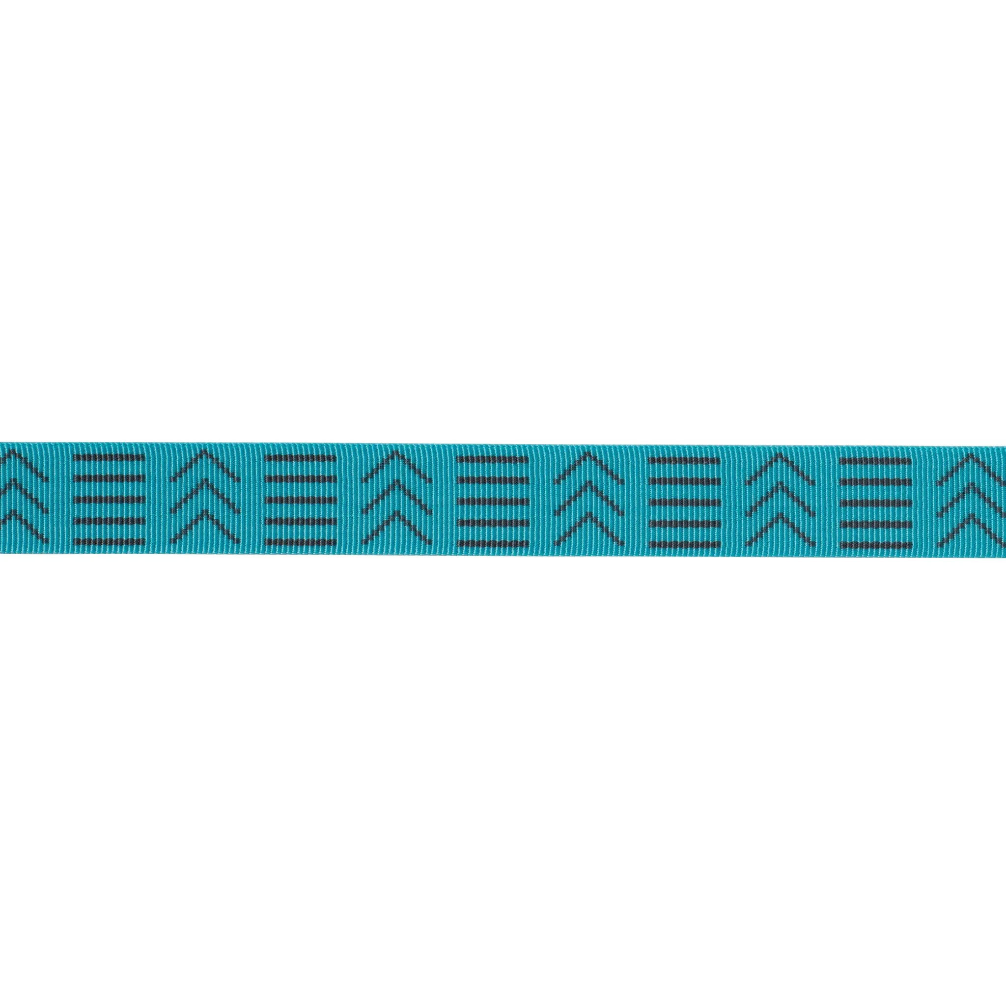 Wanderer Leash