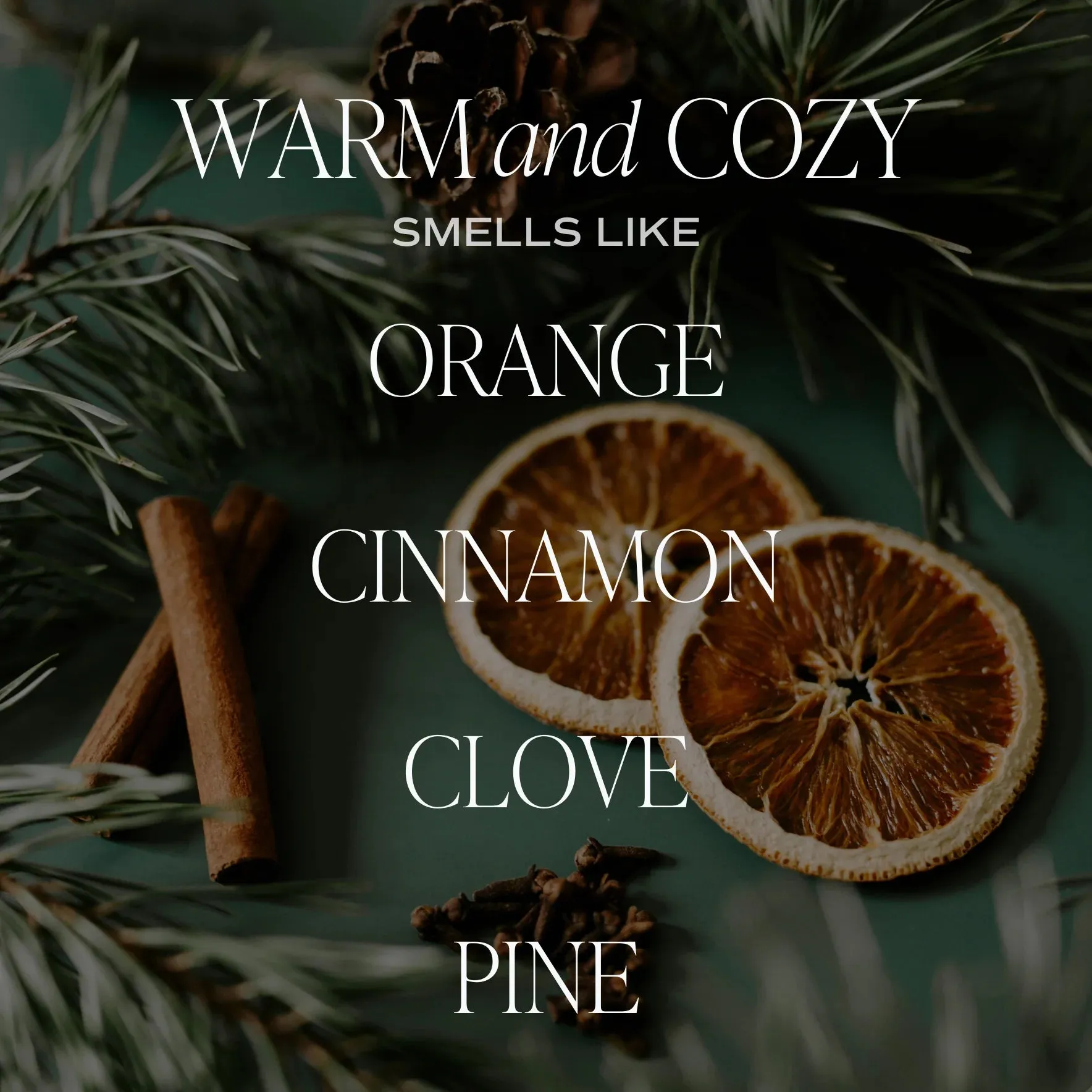 Warm and Cozy Candle | 9oz